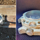 Illustration for article titled In Testing This Bombproof Watch Survived a Ten Pound C4 Explosion